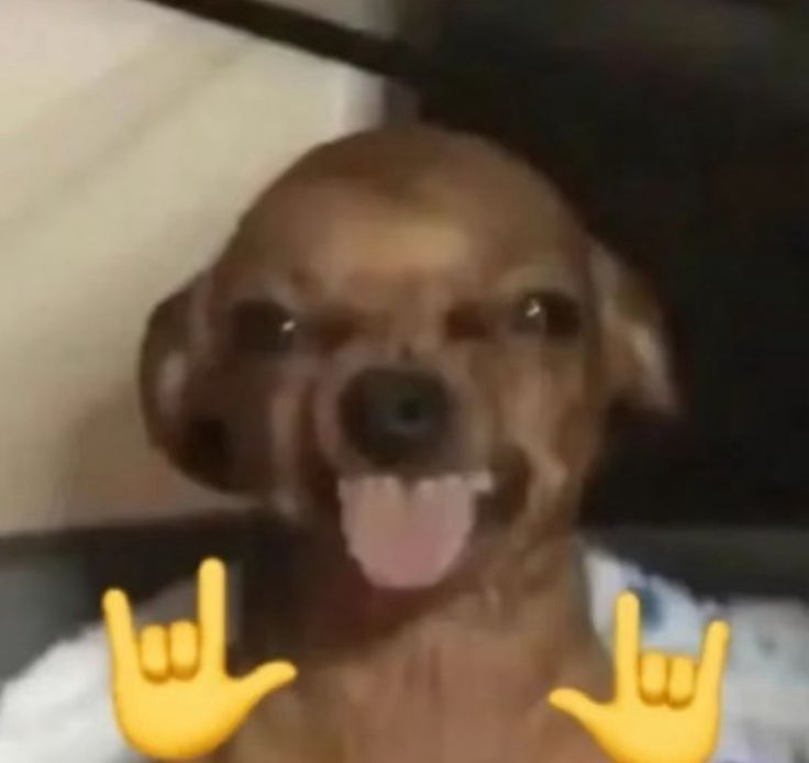 3d754bfe19f8af83ab9709e539a2c900