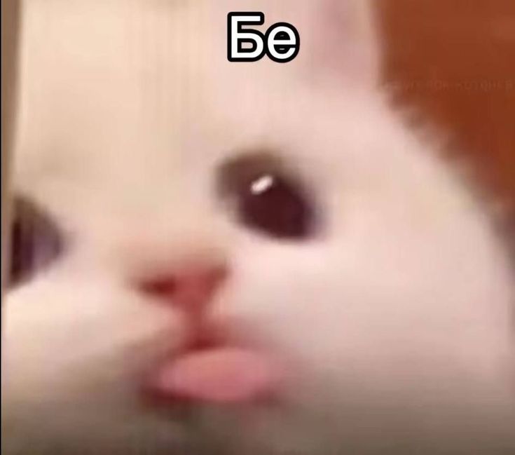 d8b8022d89360534534086c1b817ce16