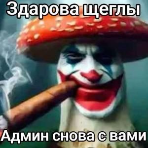 lisiy
